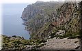 P9100447.JPG