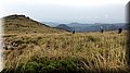 P9100452.JPG