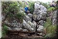 P9100456.JPG