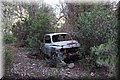 P9140471.JPG