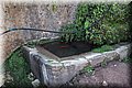 P9140497.JPG