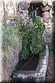 P9140500.JPG