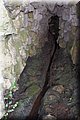 P9140507.JPG