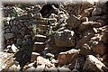 P9140508.JPG