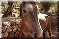 P9140516.JPG