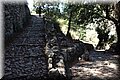 P9140520.JPG