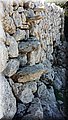 20150917_120636.jpg