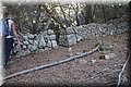 P9170527.JPG