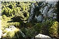 P9170536.JPG