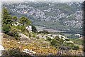 P9170541.JPG