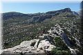 P9170597.JPG