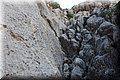 P9240791.JPG