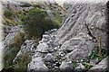 P9240792.JPG