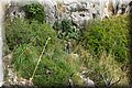 P9240803.JPG