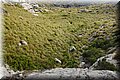 P9240805.JPG