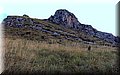 P9240817.JPG