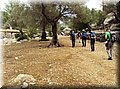 DSC06858.JPG