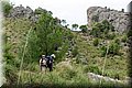 IMG_0059.jpg