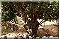 PA010882.JPG