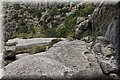 PA050965.JPG