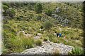 PA050998.JPG