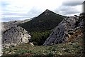 PA081054.JPG