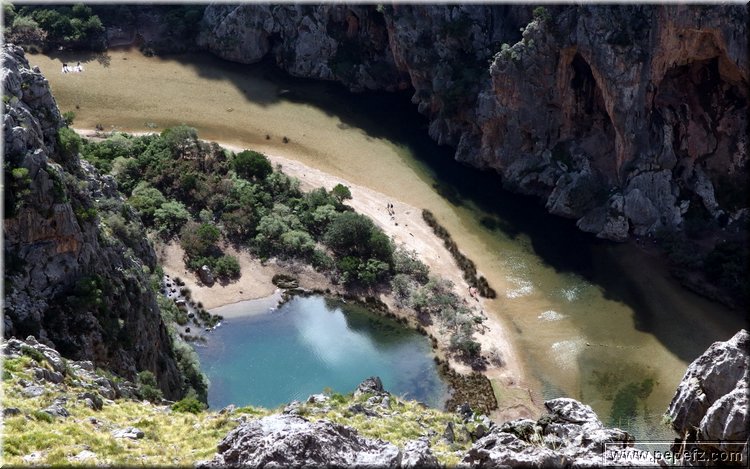 PA151123.JPG