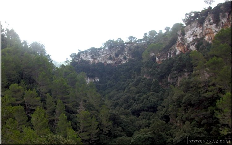 PA191249.JPG