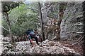 PA221270.JPG