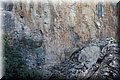 PA221288.JPG