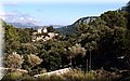 PA221294.JPG