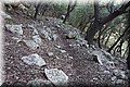 PA221298.JPG