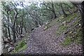 PA221300.JPG