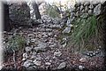 PA221303.JPG