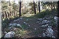 PA221310.JPG