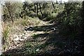 PA221311.JPG