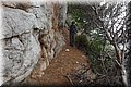 PA261326.JPG