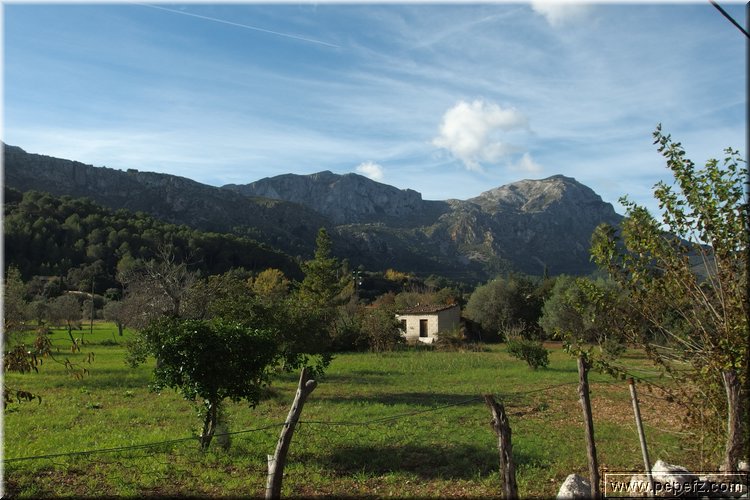 PA291410.JPG