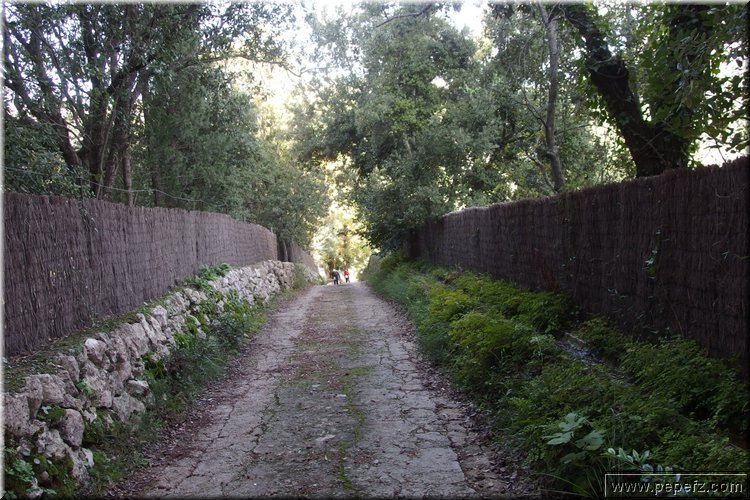PA291417.JPG