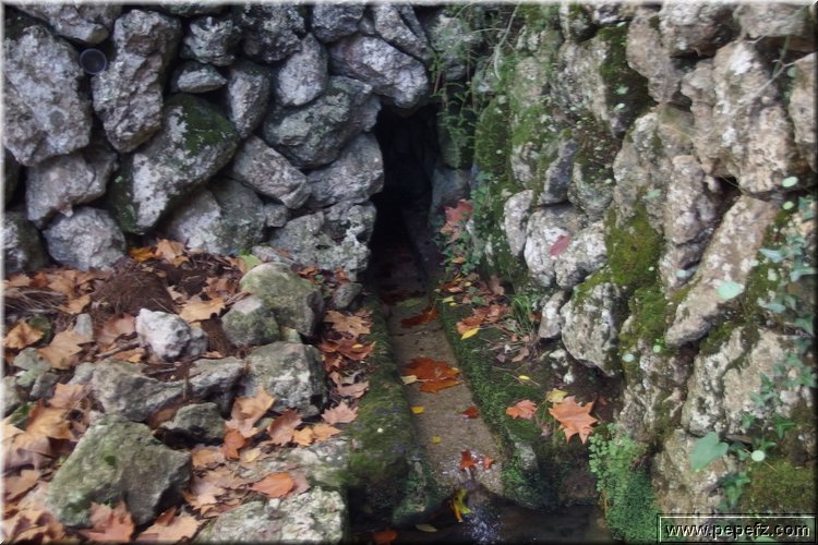 PA291420.JPG