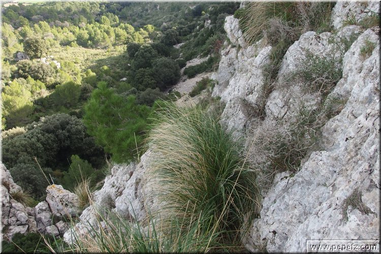 PA291426.JPG