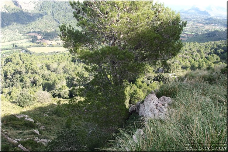PA291427.JPG
