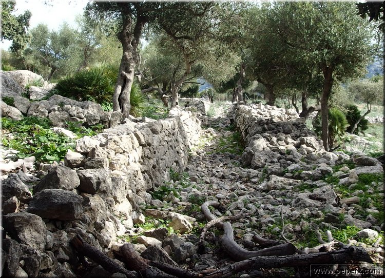 PA291437.JPG