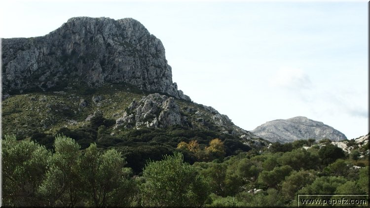 PA291448.JPG