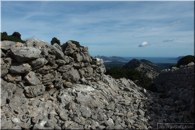 PA291453.JPG