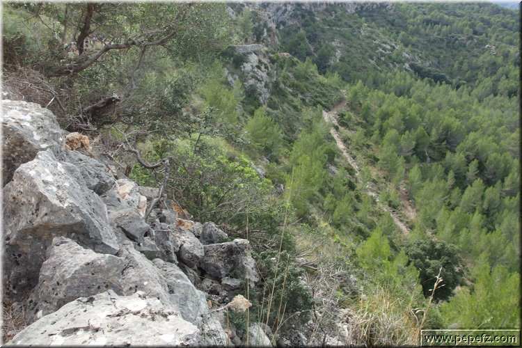 PA291460.JPG