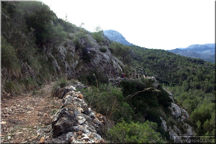 PA291462.JPG