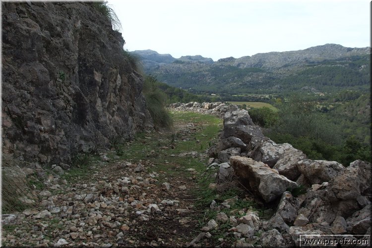 PA291463.JPG