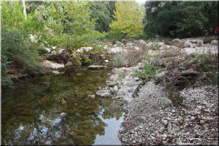 PA291464.JPG