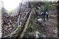 PA291416.JPG